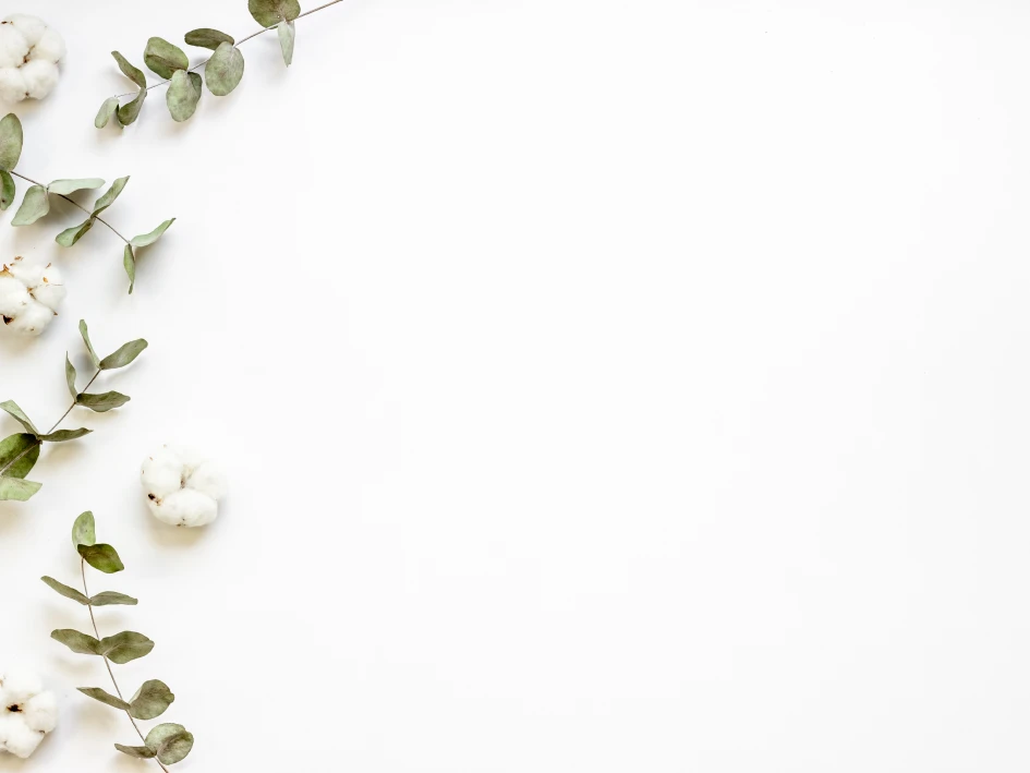 Fondo COUPLE MASSAGE (Couples Massage)