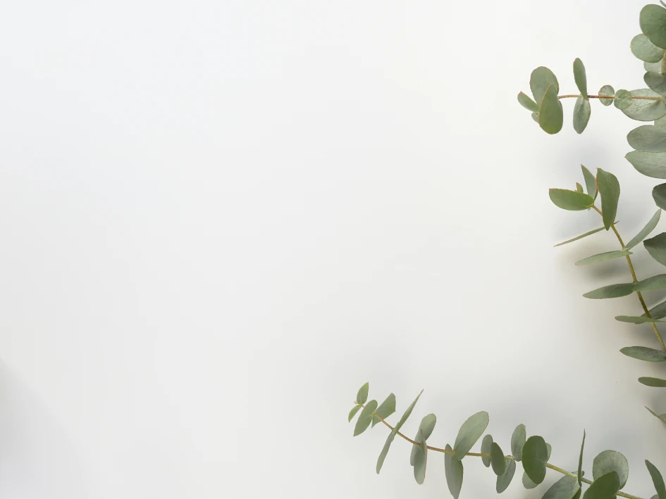 Fondo PREMIUM MASSAGE (Double)